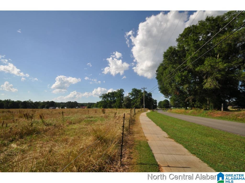 0 Beech Grove Road Cullman, AL 35057 - Photo 16 of 16