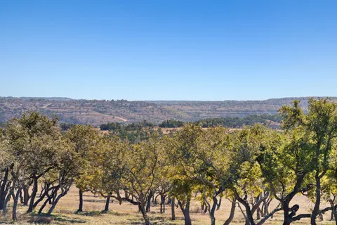 a view of mountain with trees in the background