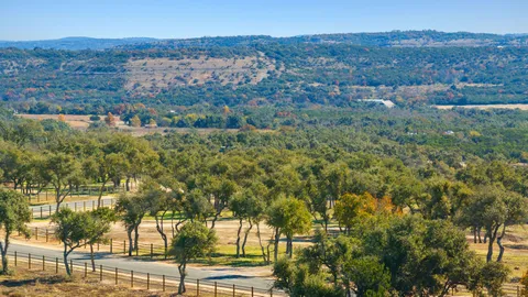 an aerial view of residential house and green space