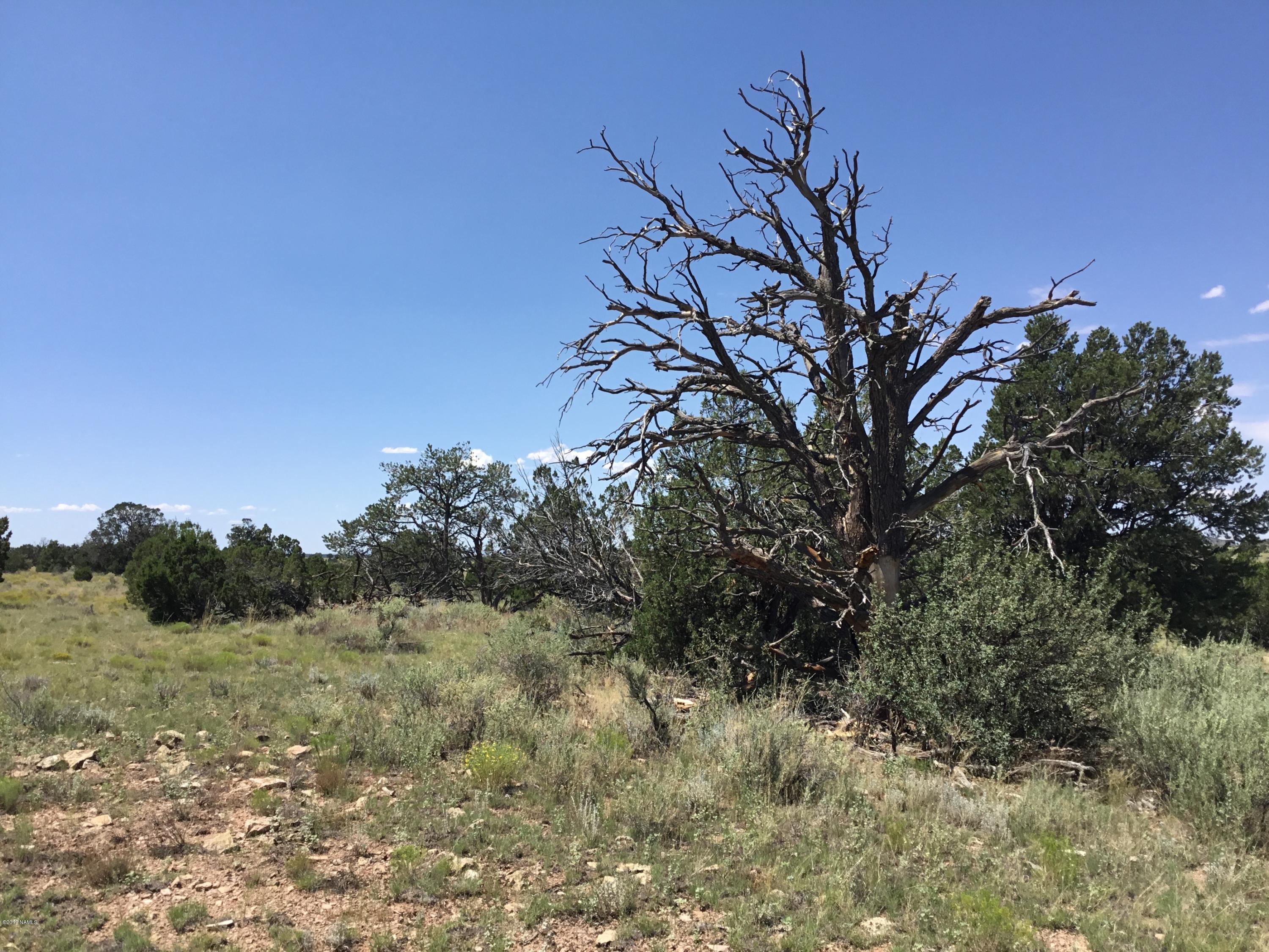3192 North Peakview Road Williams, AZ 86046 - Photo 2 of 9 CCA10CD7-7B2C-4303-9E0D-4F460C53E70E