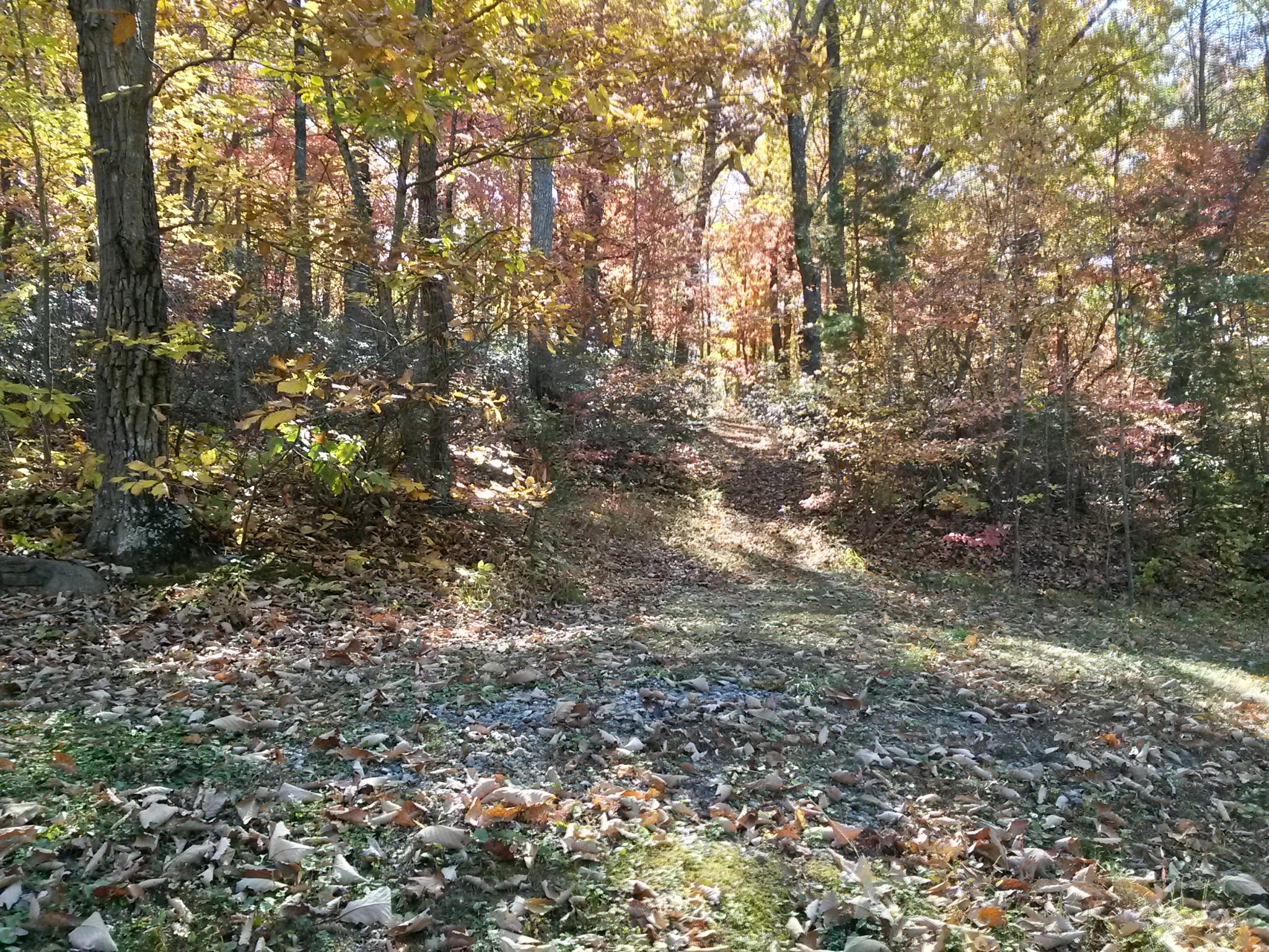 9510 Rocky Ford Road Moneta, VA 24121 - Photo 28 of 44 20141027_131938_Richtone(HDR)