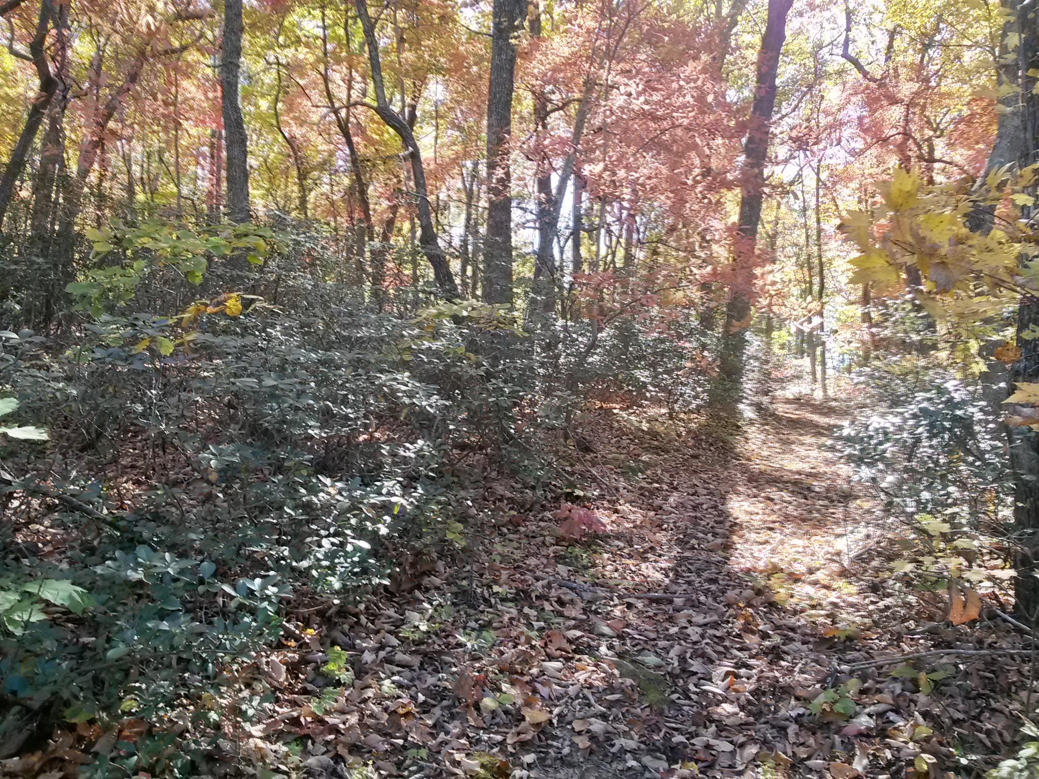 9510 Rocky Ford Road Moneta, VA 24121 - Photo 32 of 44 20141027_132048_Richtone(HDR)