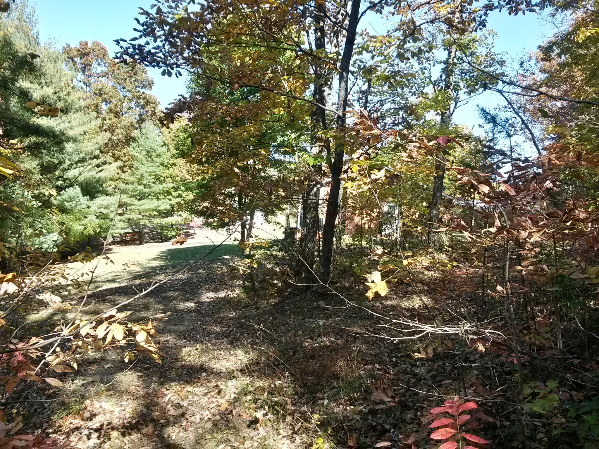9510 Rocky Ford Road Moneta, VA 24121 - Photo 33 of 44 20141027_132056_Richtone(HDR)
