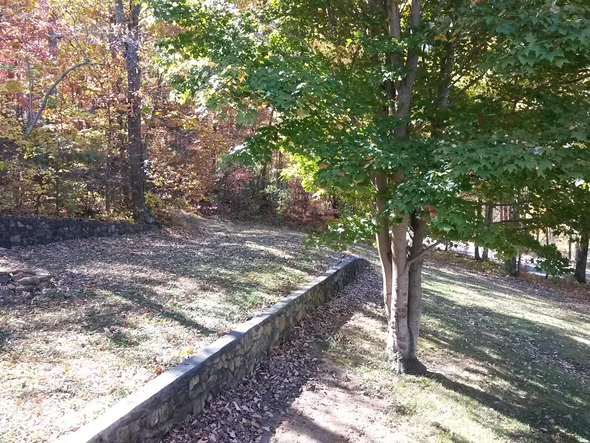 9510 Rocky Ford Road Moneta, VA 24121 - Photo 8 of 44 20141027_130704