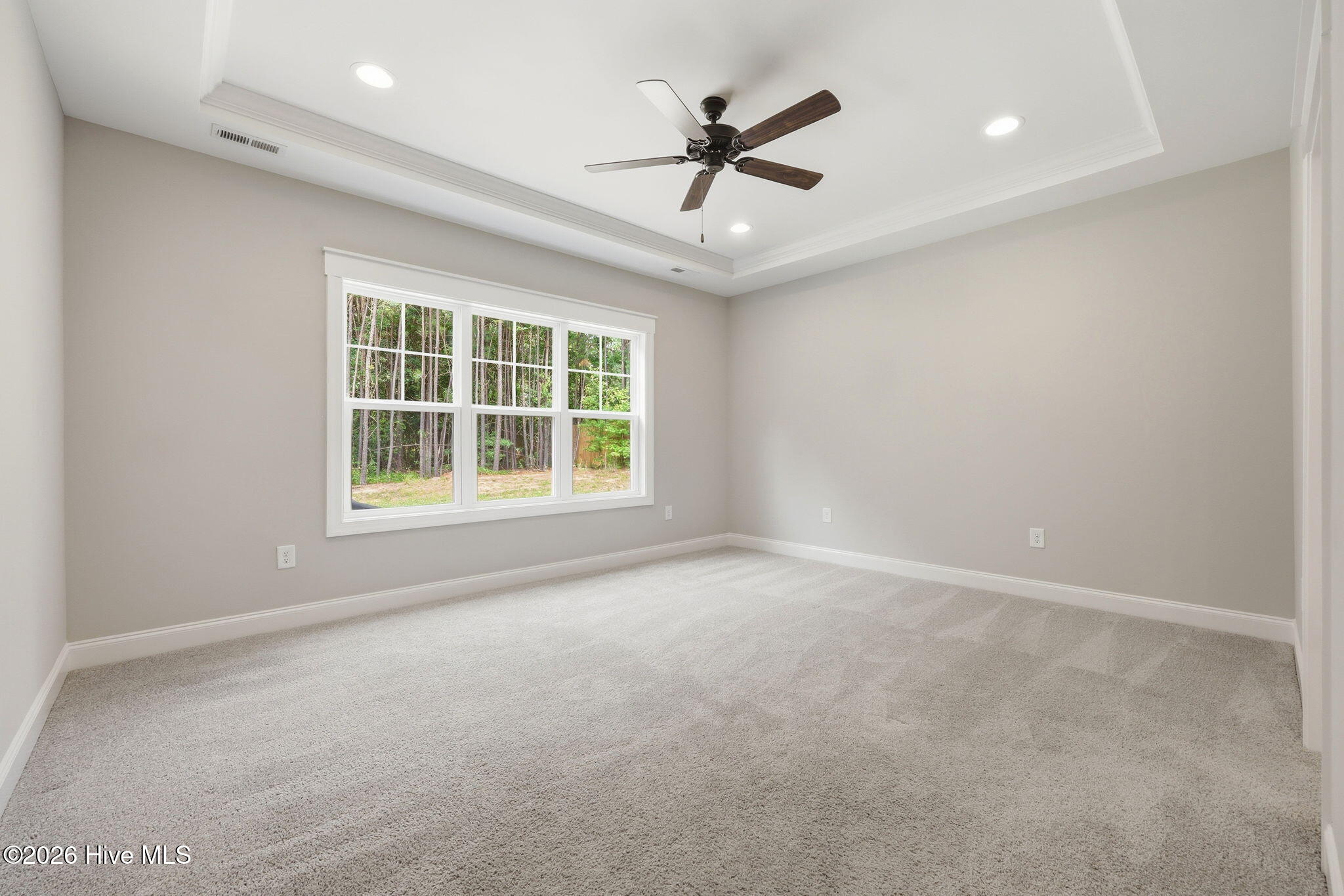 2175 Niagara Carthage Road Carthage, NC 28327 - Photo 11 of 37