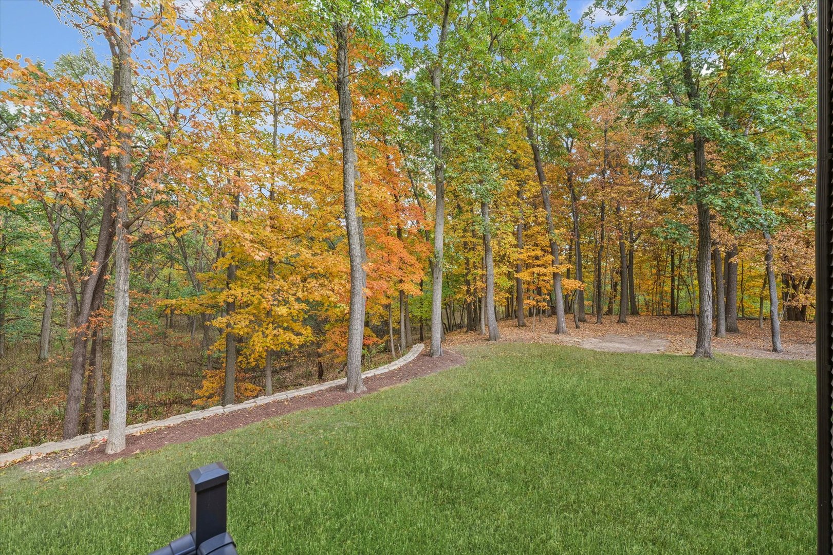 1410 East White Oak Road Mahomet, IL 61853 - Photo 133 of 140 a view of yard with tree