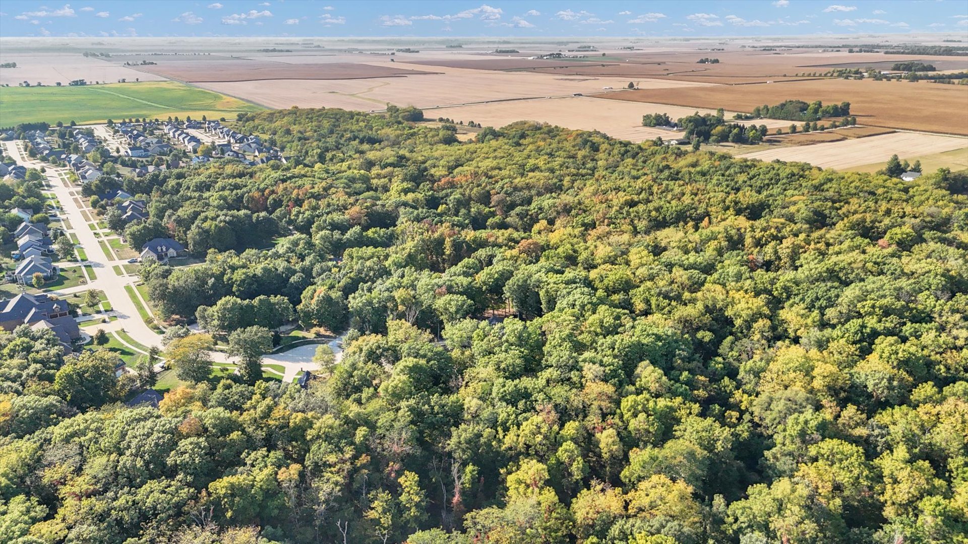 1410 East White Oak Road Mahomet, IL 61853 - Photo 28 of 140