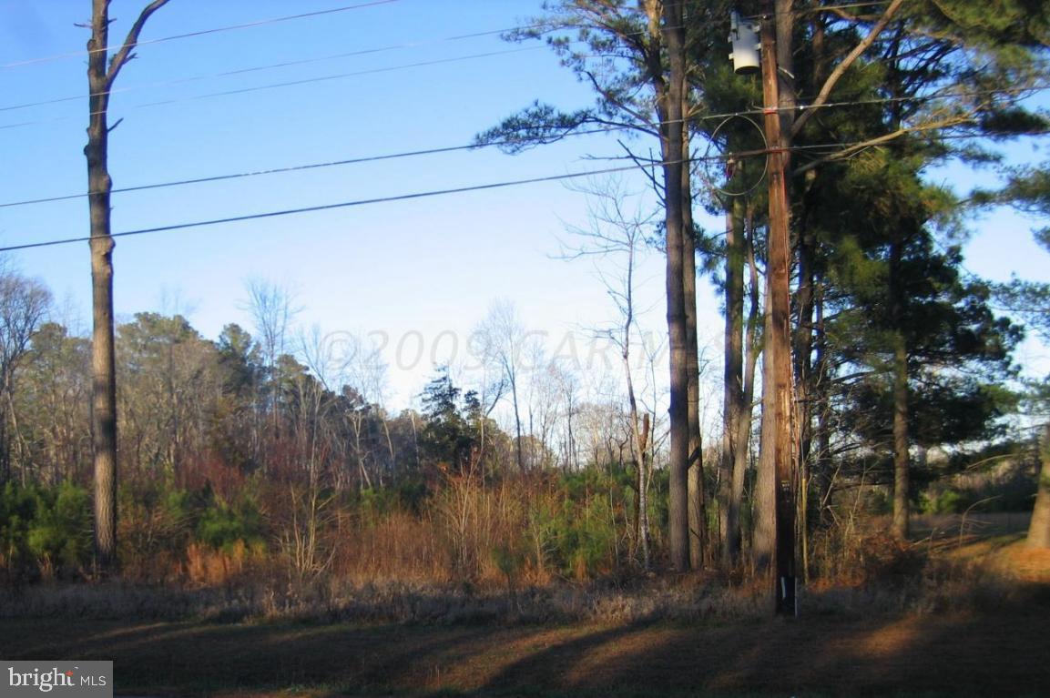 Assateague Road Berlin, MD 21811 - Photo 1 of 12