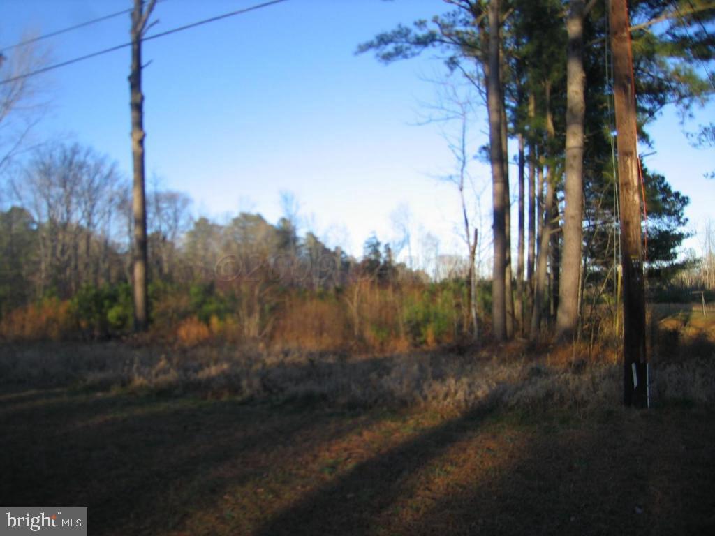 Assateague Road Berlin, MD 21811 - Photo 2 of 12