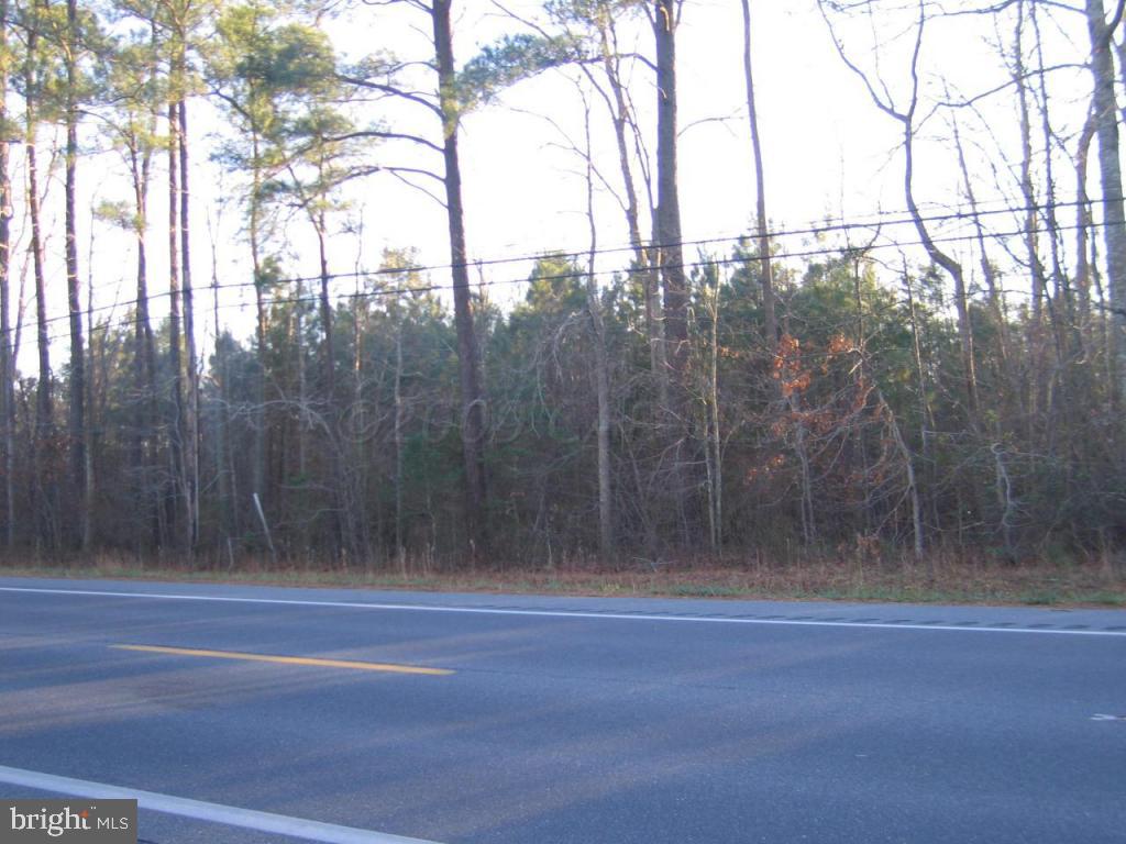 Assateague Road Berlin, MD 21811 - Photo 11 of 12