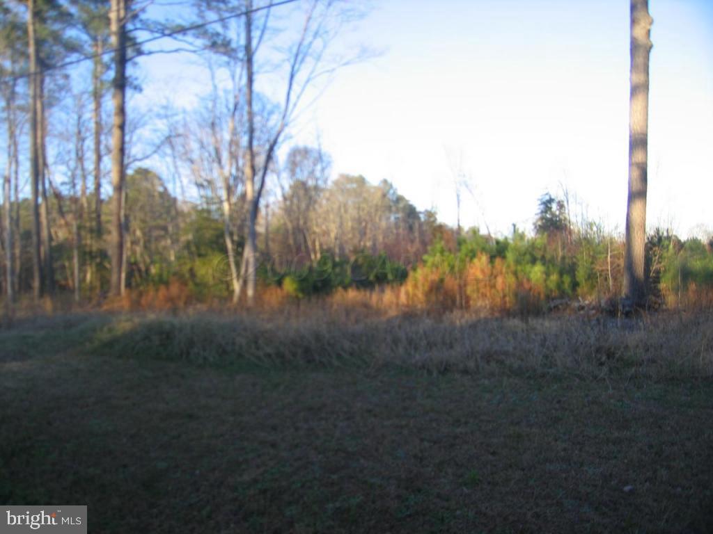 Assateague Road Berlin, MD 21811 - Photo 4 of 12