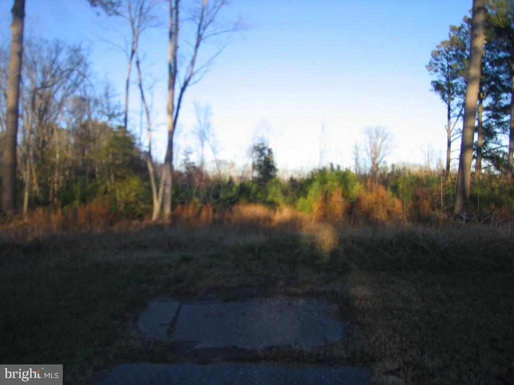 Assateague Road Berlin, MD 21811 - Photo 5 of 12