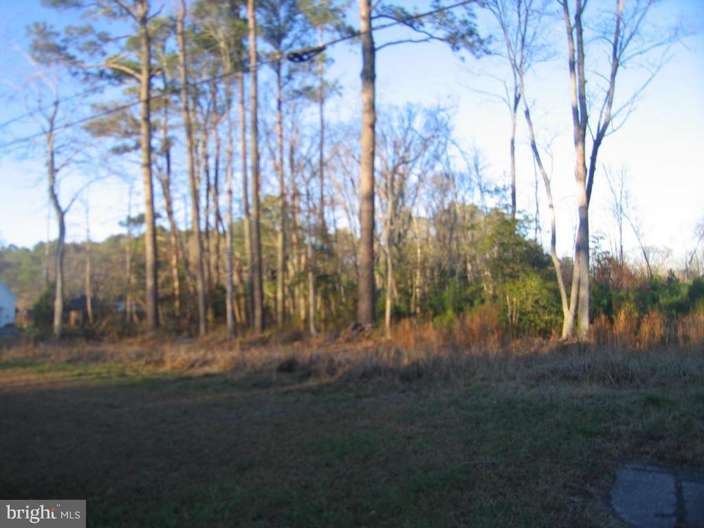 Assateague Road Berlin, MD 21811 - Photo 6 of 12