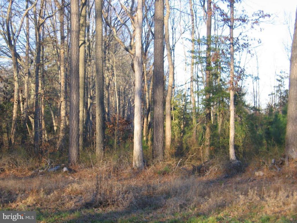Assateague Road Berlin, MD 21811 - Photo 8 of 12