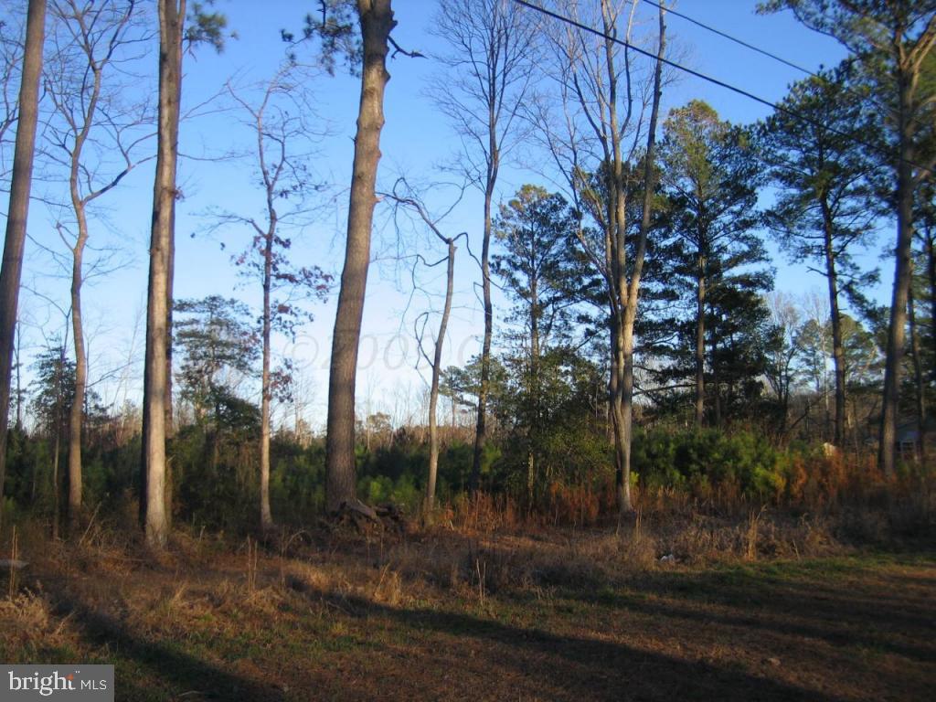 Assateague Road Berlin, MD 21811 - Photo 10 of 12