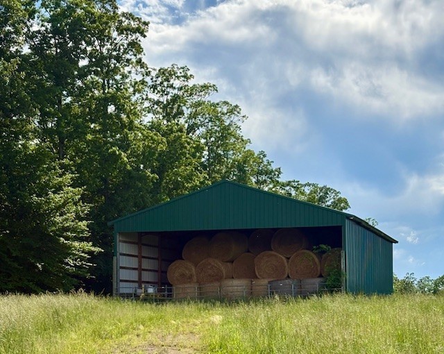 1012 Topsy Store Road Waynesboro, TN 38485 - Photo 4 of 17 Gallery Image 4