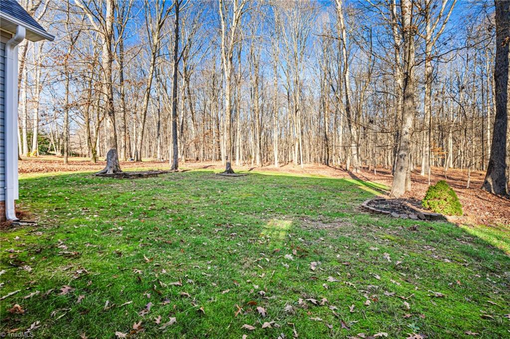 166 Old March Road Advance, NC 27006 - Photo 30 of 32 Gallery Image 30