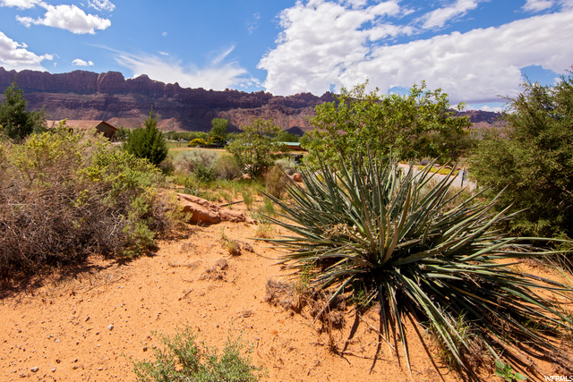 4265 East Lipizzan Jump, Unit 18 Moab, UT 84532 - Photo 31 of 32