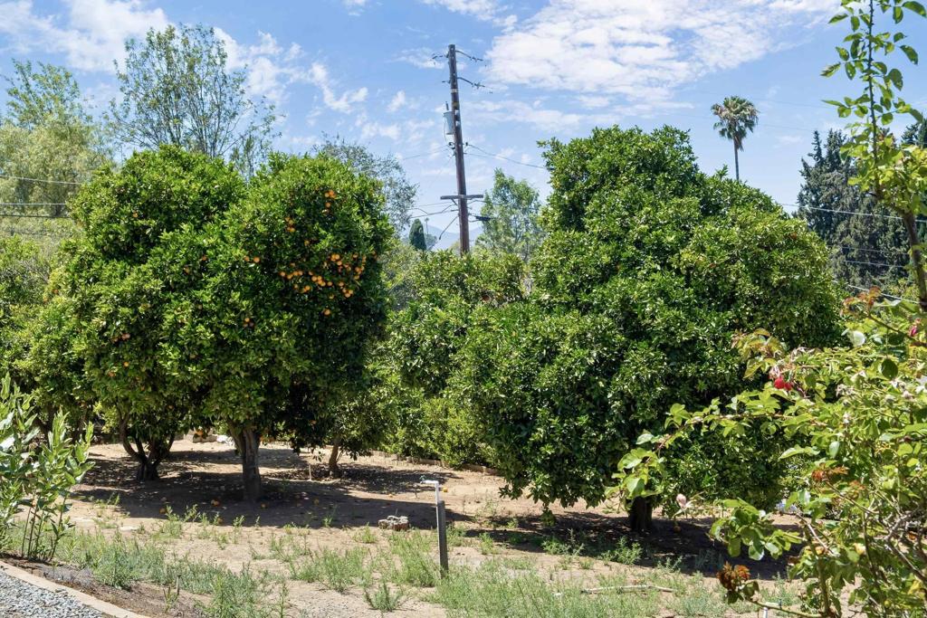 1216 Via Ramon Escondido, CA 92029 - Photo 34 of 37