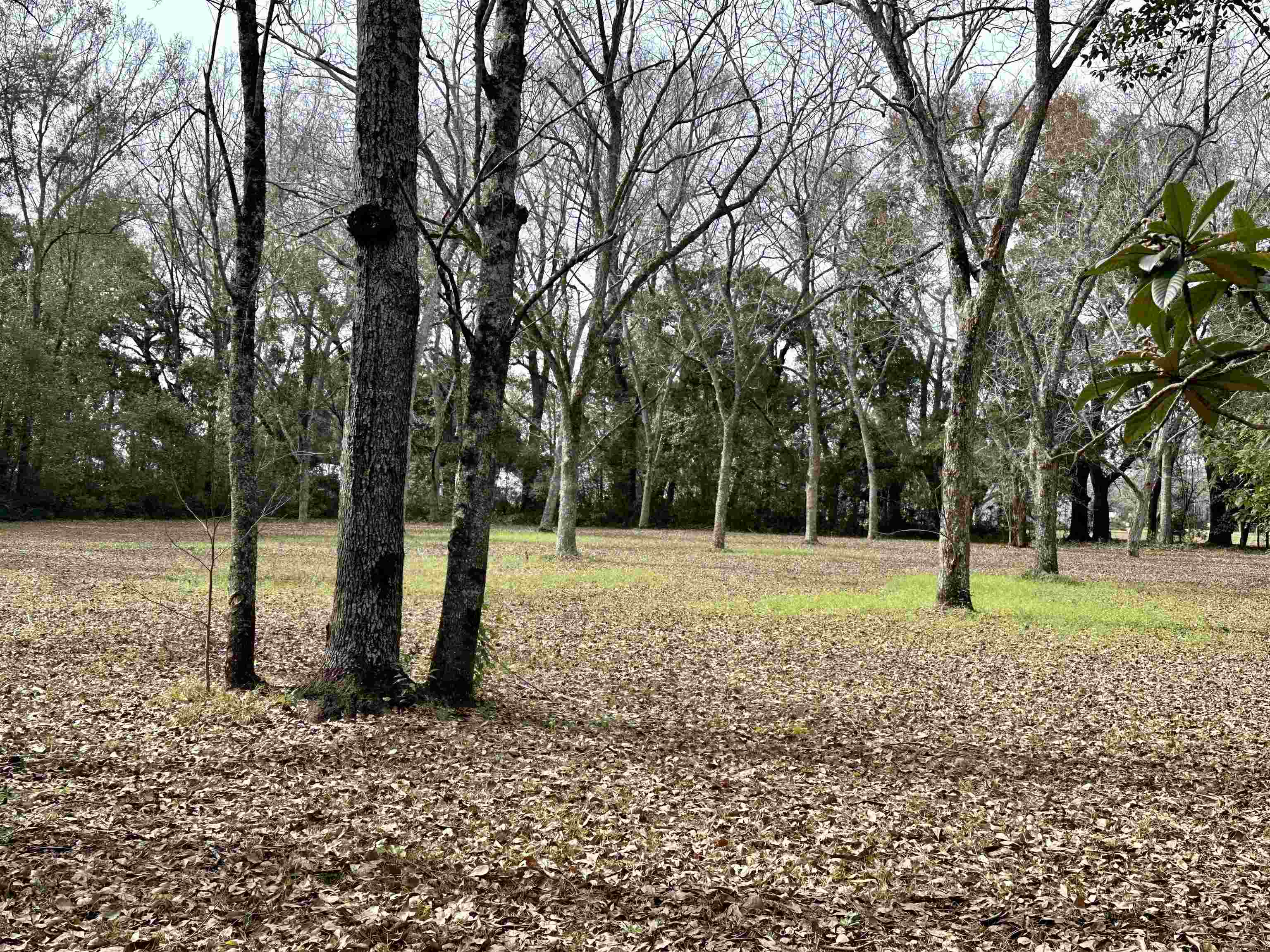12089 Hickory Street South Foley, AL 36535 - Photo 4 of 8