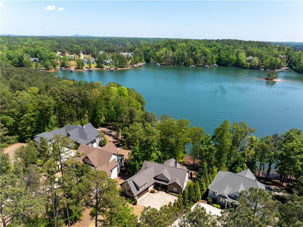 525 Peninsula Road West Union, SC 29696 - Photo 3 of 49