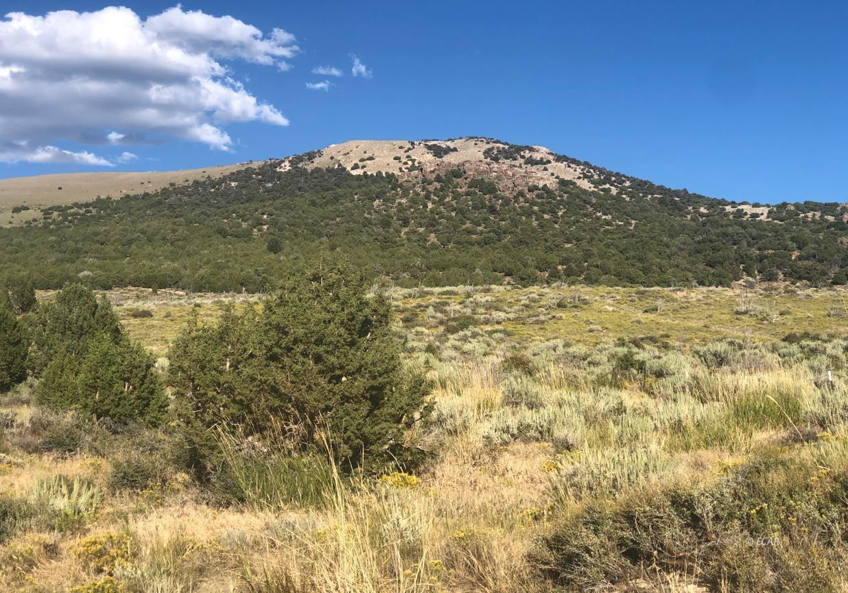 Angle Lake Road Rd Wells Wells, NV 89835 - Photo 1 of 1