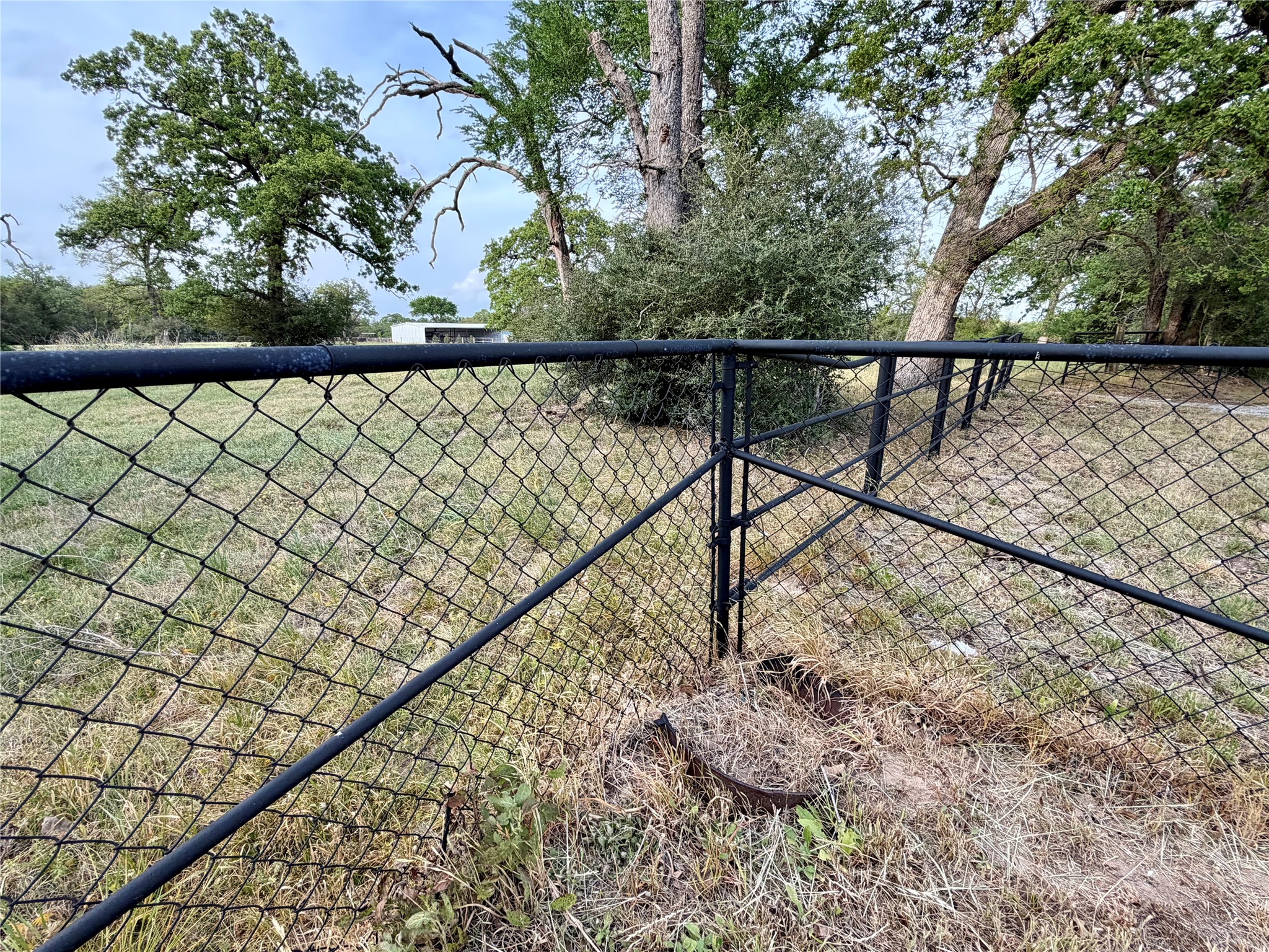 18043 Sterling Robertson Dam Road Thornton, TX 76687 - Photo 22 of 28 Back yard fence