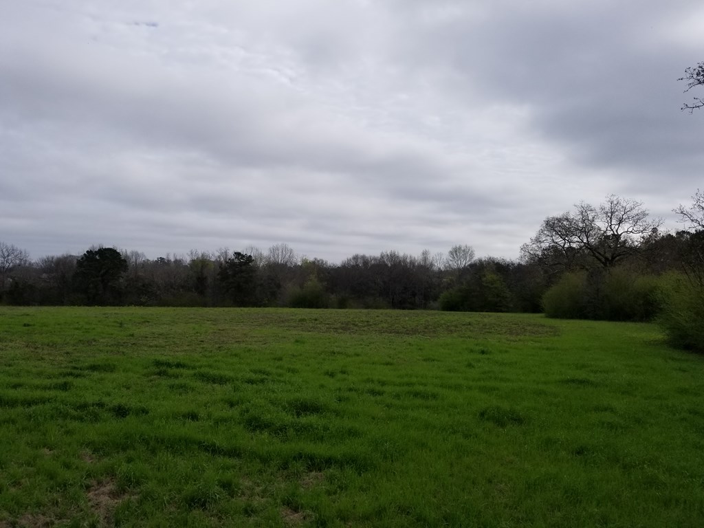 0 Suggs Road Headland, AL 36345 - Photo 3 of 5