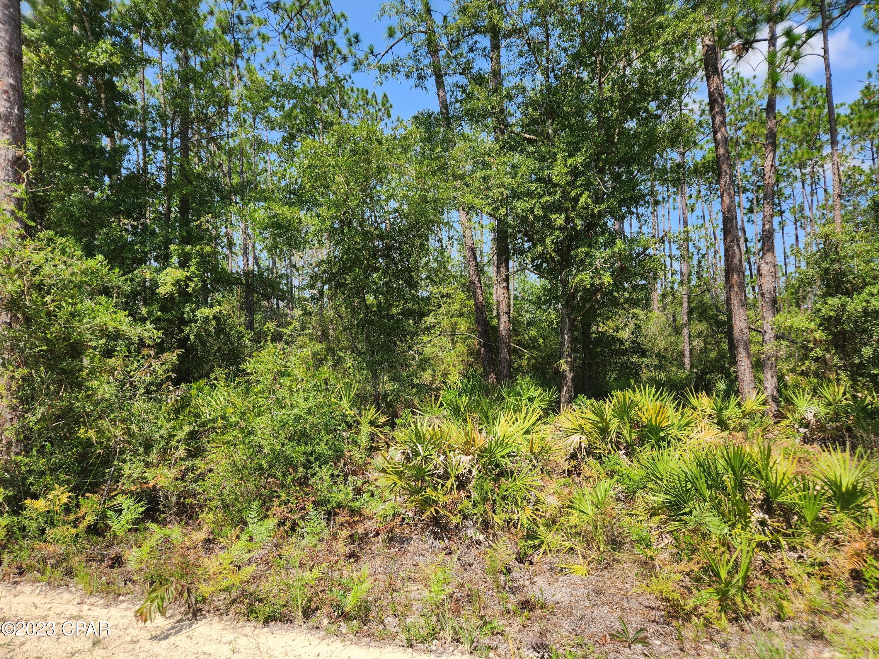 0 Longleaf Road Fountain, FL 32438 - Photo 1 of 2 Gallery Image 1