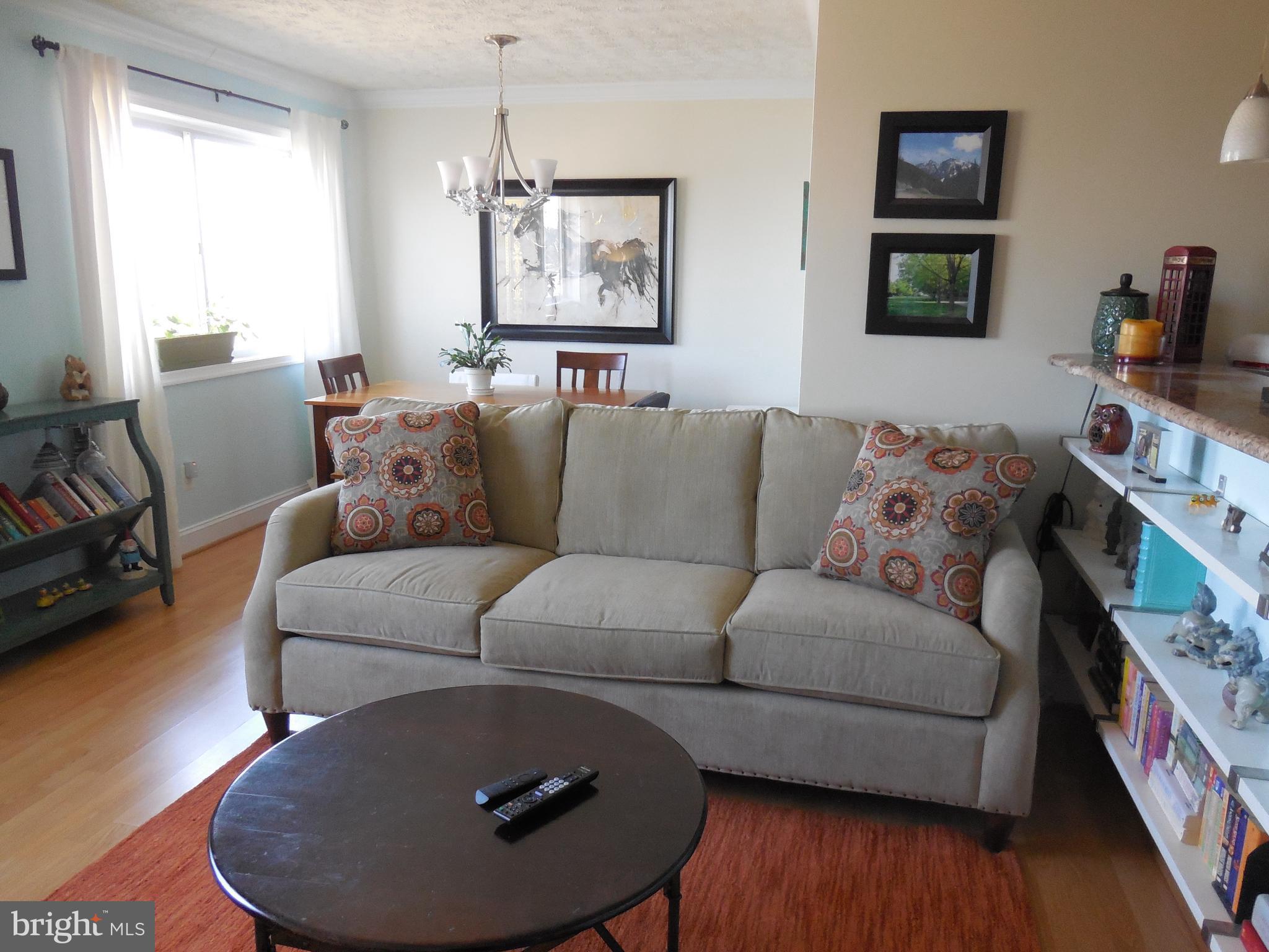 5101 8th Road South, Unit 404 Arlington, VA 22204 - Photo 11 of 27 Living Room