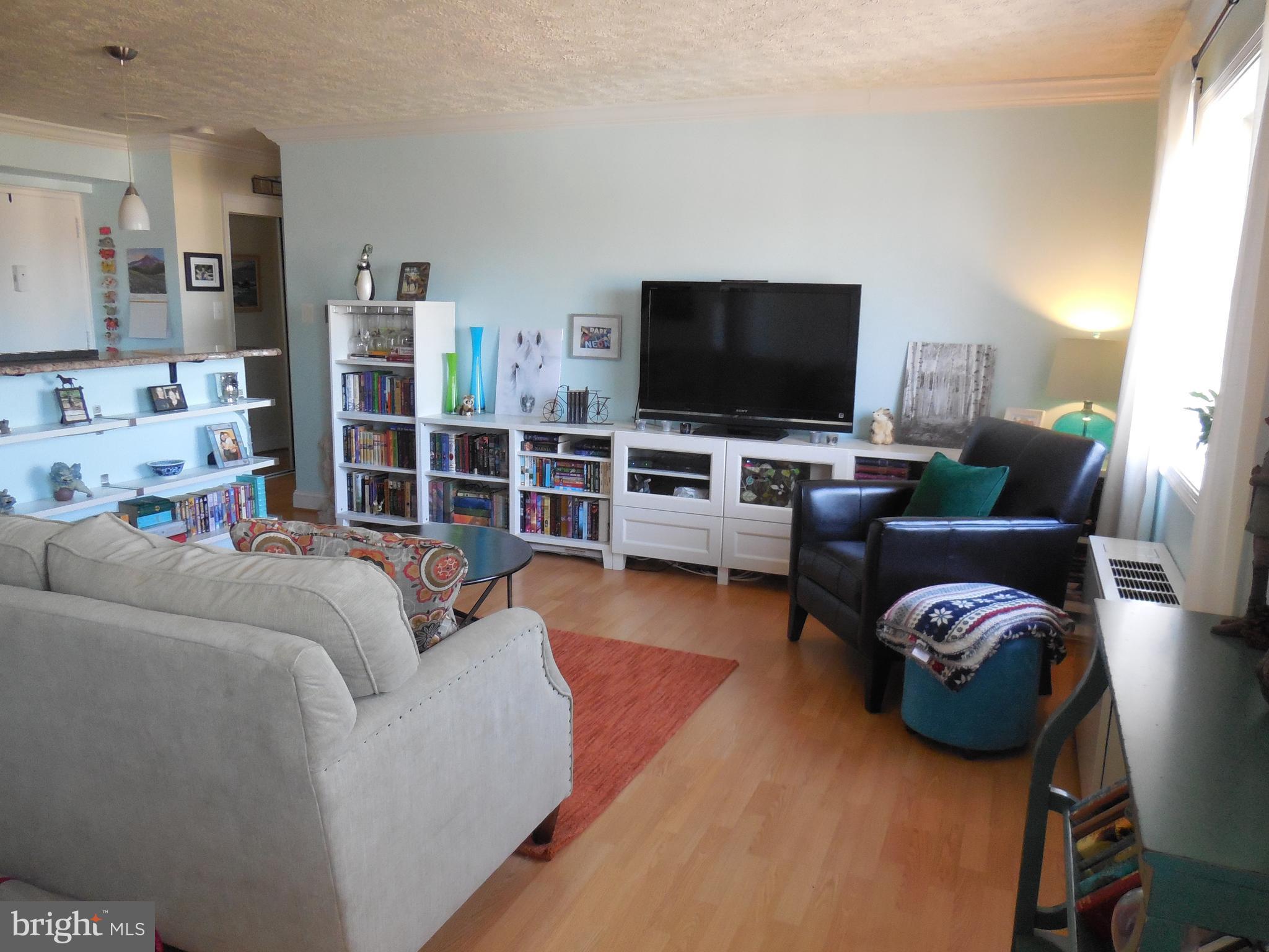 5101 8th Road South, Unit 404 Arlington, VA 22204 - Photo 12 of 27 Living Room