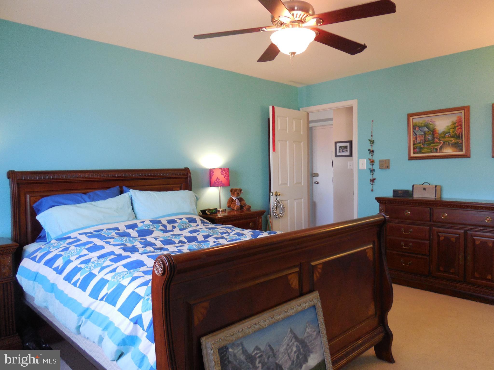 5101 8th Road South, Unit 404 Arlington, VA 22204 - Photo 16 of 27 Bedroom (Master)