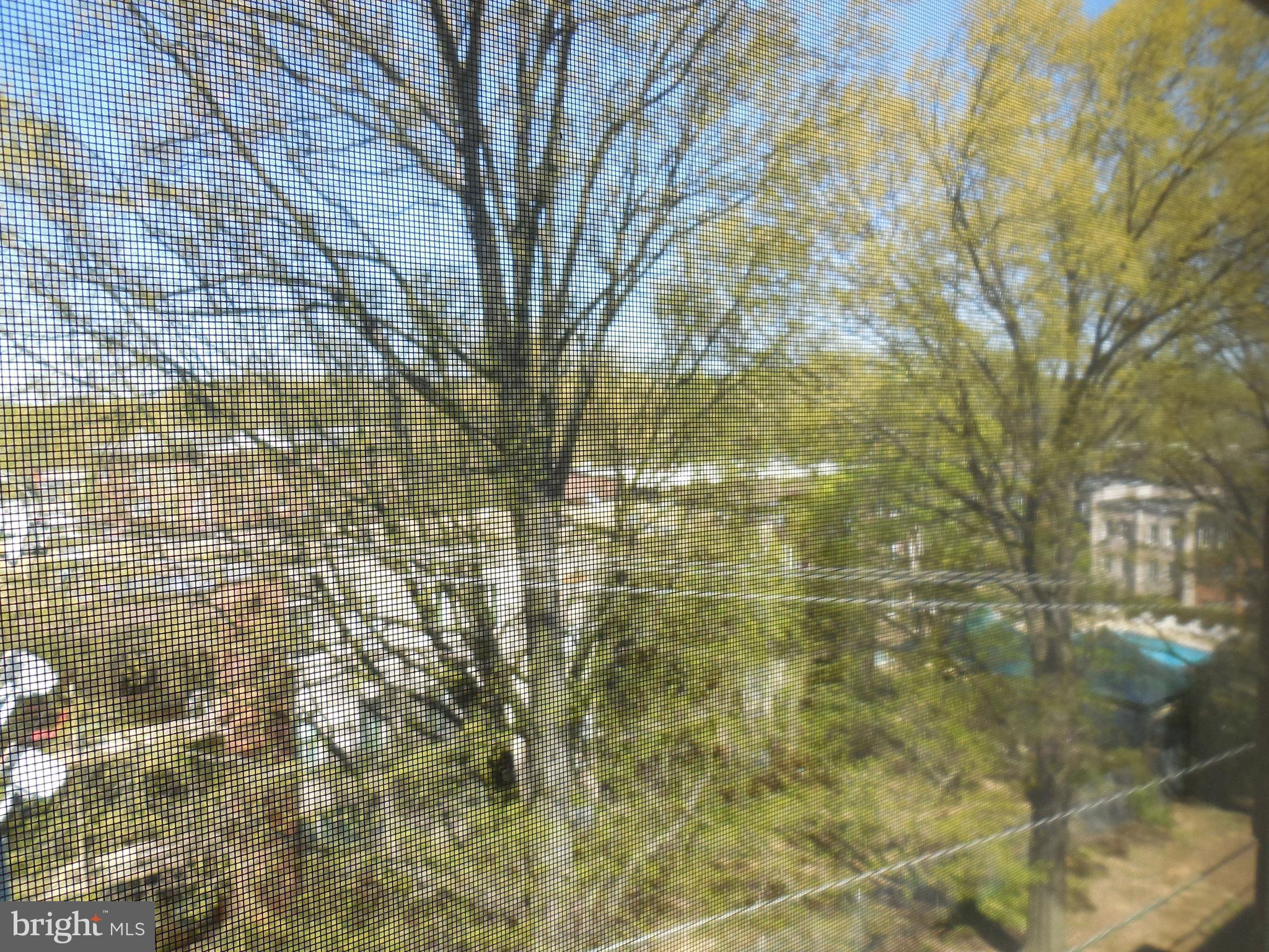 5101 8th Road South, Unit 404 Arlington, VA 22204 - Photo 21 of 27 Beautiful tree view provides lots of privacy
