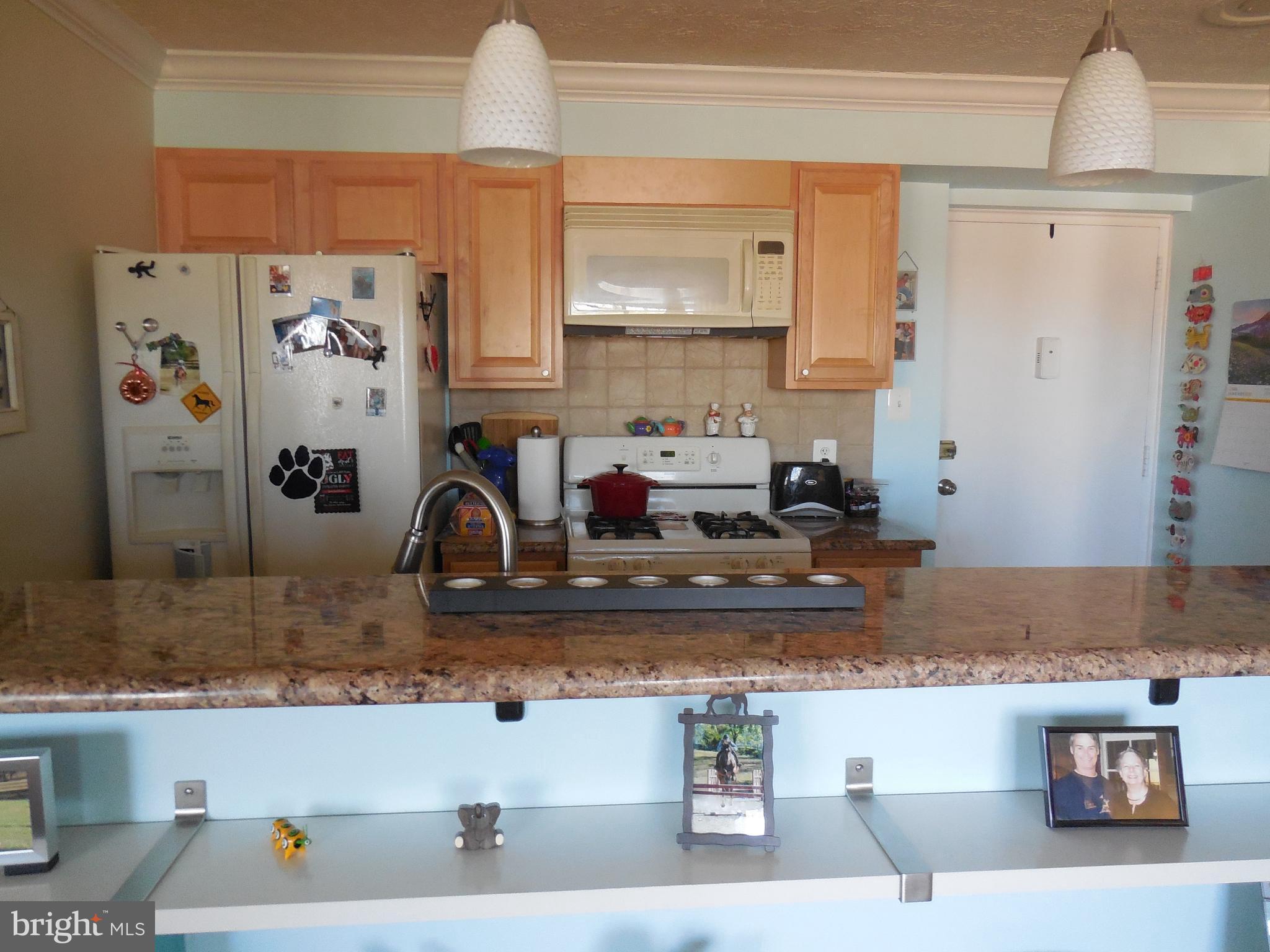 5101 8th Road South, Unit 404 Arlington, VA 22204 - Photo 8 of 27 Kitchen