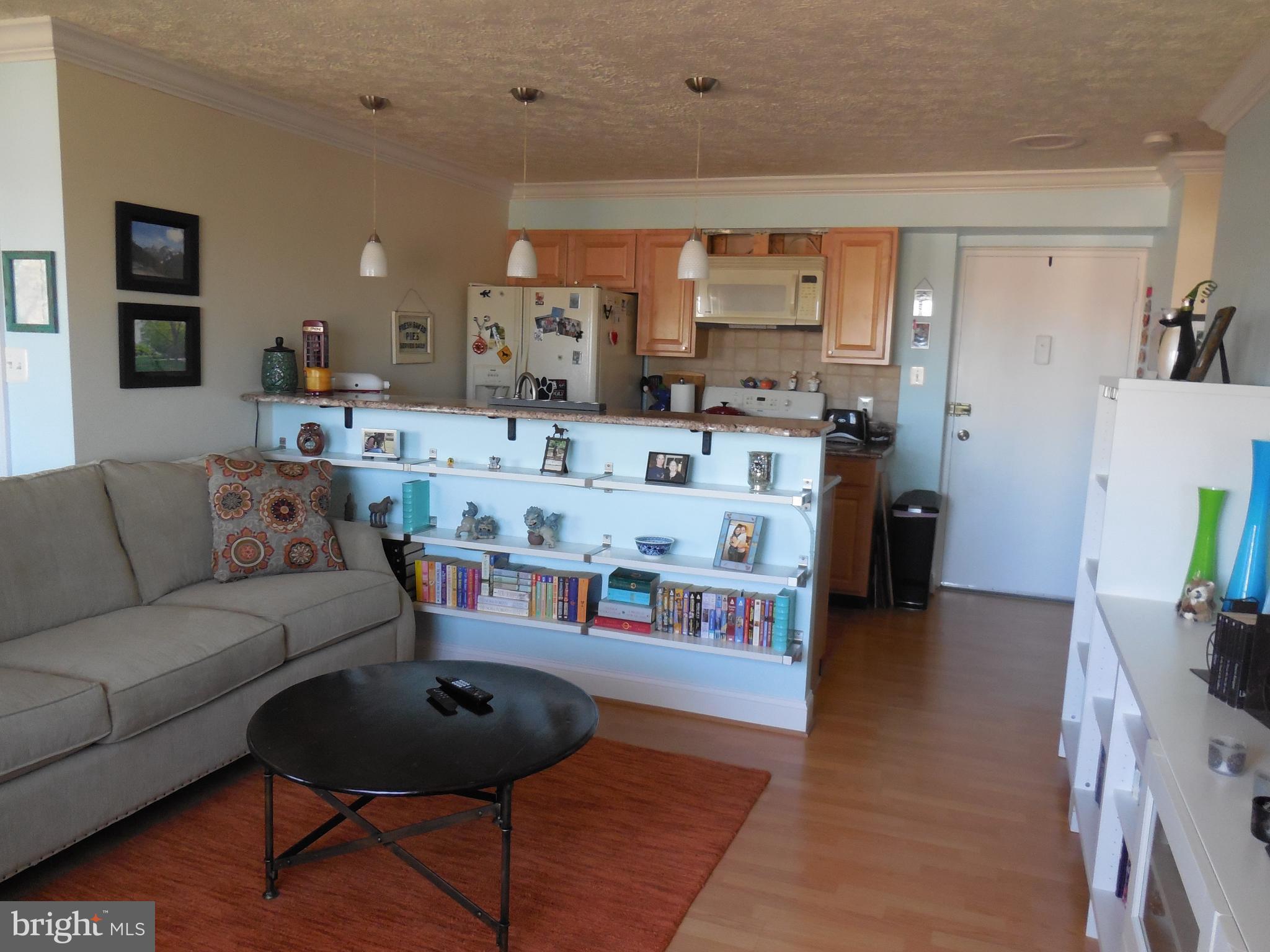 5101 8th Road South, Unit 404 Arlington, VA 22204 - Photo 9 of 27 Living Room