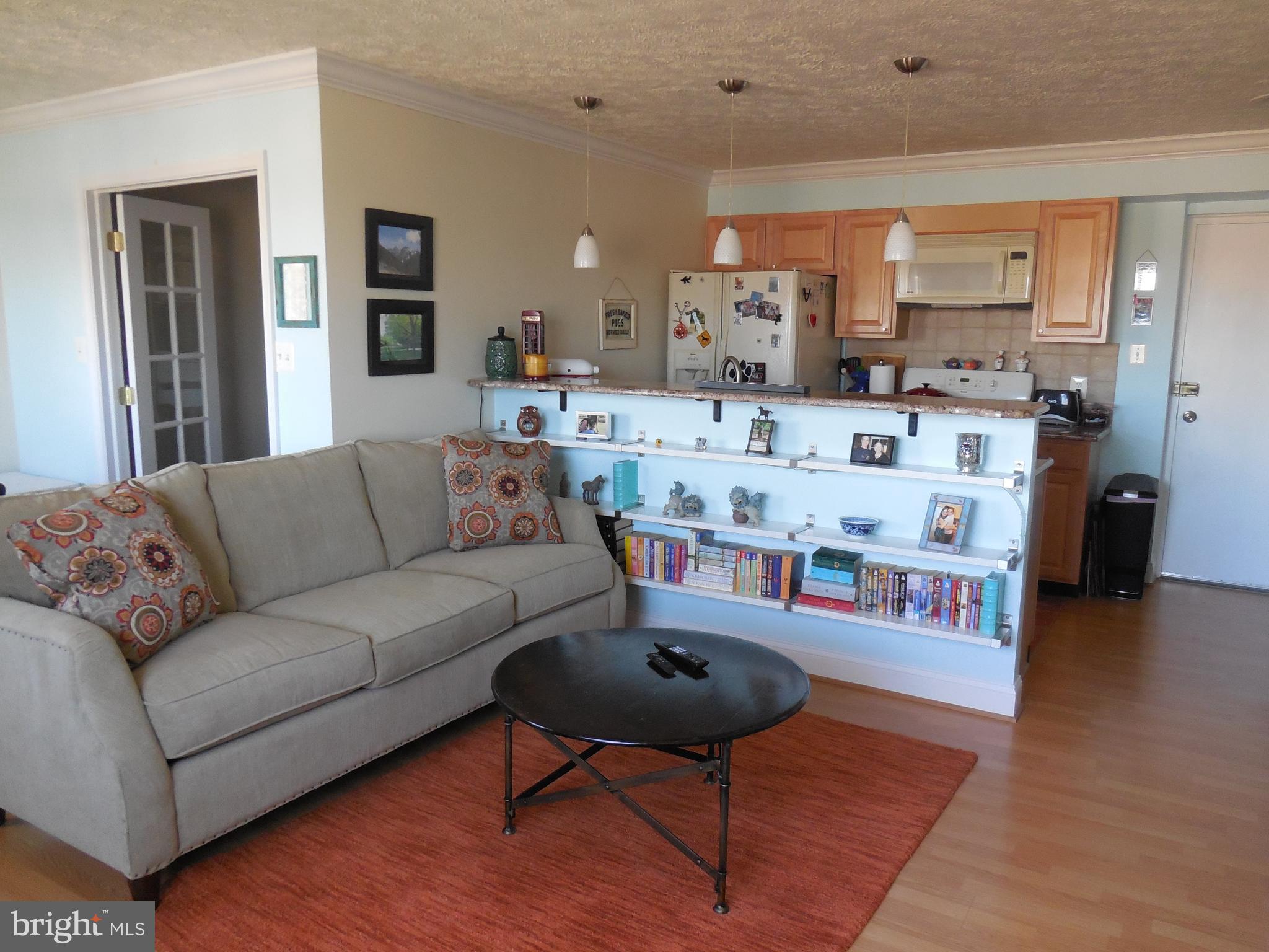 5101 8th Road South, Unit 404 Arlington, VA 22204 - Photo 10 of 27 Living Room
