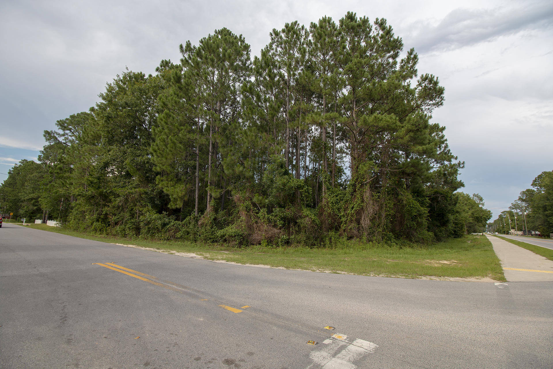 Lot 8 Chat Holley Road Santa Rosa Beach, FL 32459 - Photo 1 of 9 Gallery Image 1