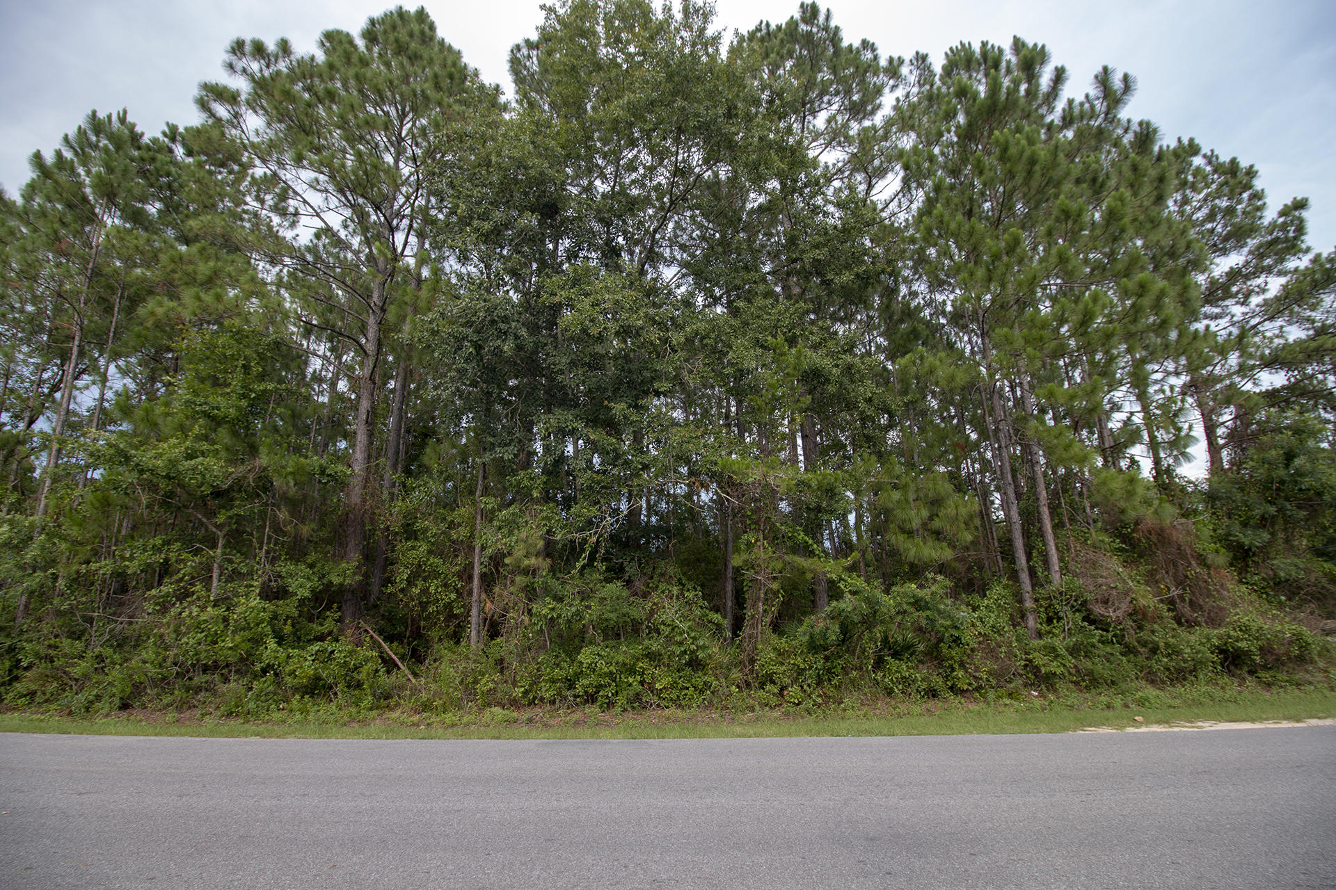 Lot 8 Chat Holley Road Santa Rosa Beach, FL 32459 - Photo 2 of 9 Gallery Image 2