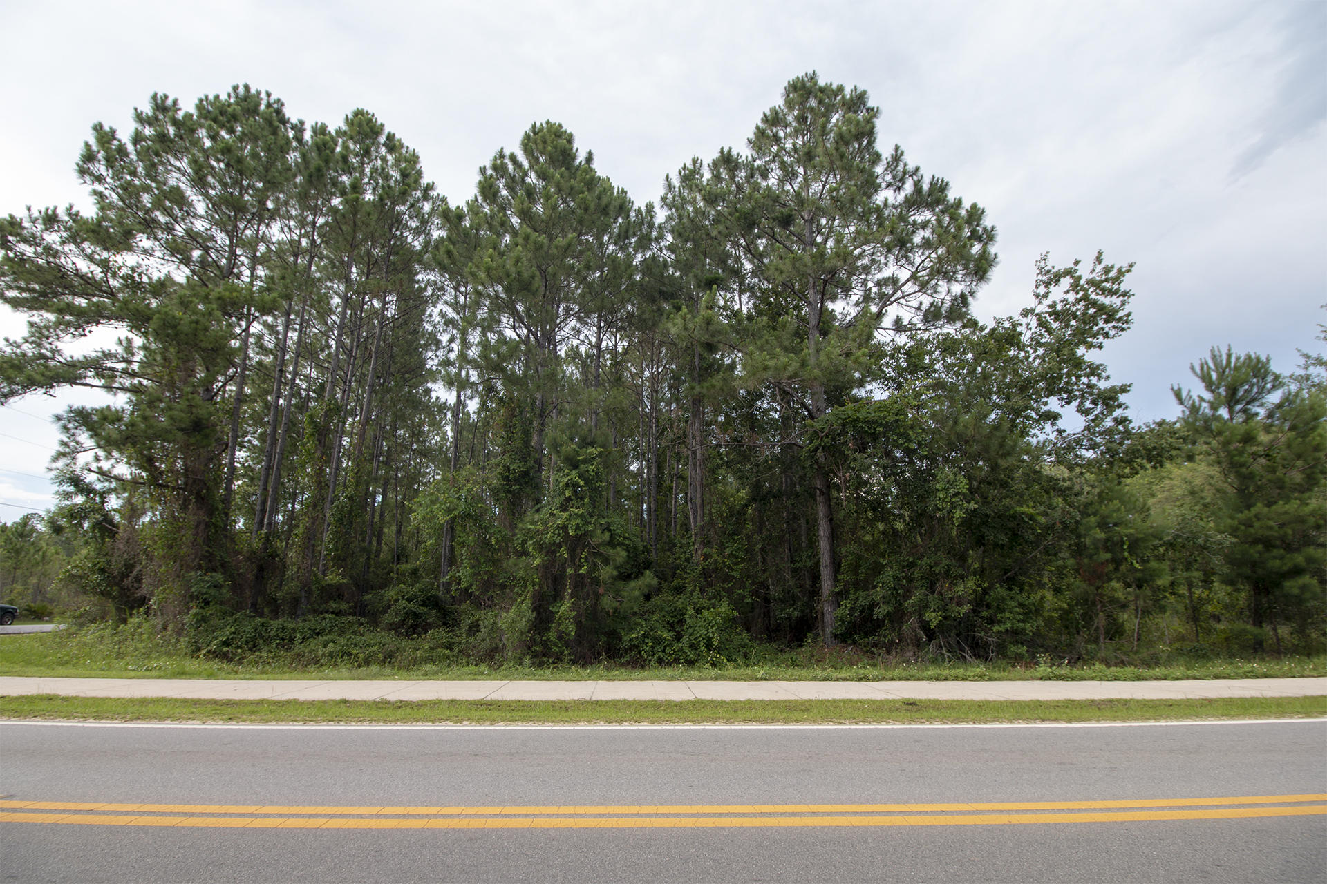 Lot 8 Chat Holley Road Santa Rosa Beach, FL 32459 - Photo 3 of 9 Gallery Image 3