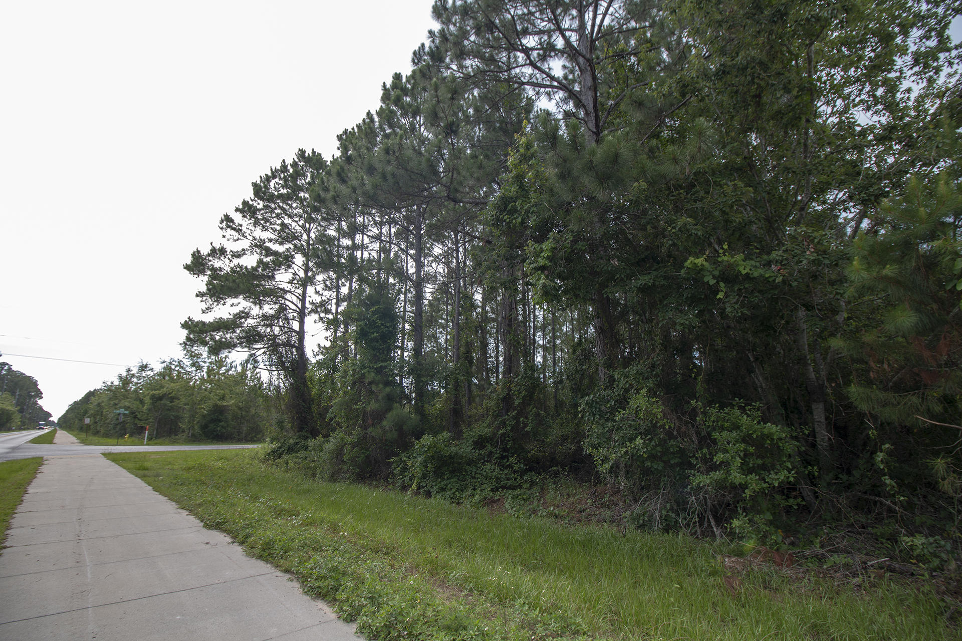 Lot 8 Chat Holley Road Santa Rosa Beach, FL 32459 - Photo 4 of 9 Gallery Image 4