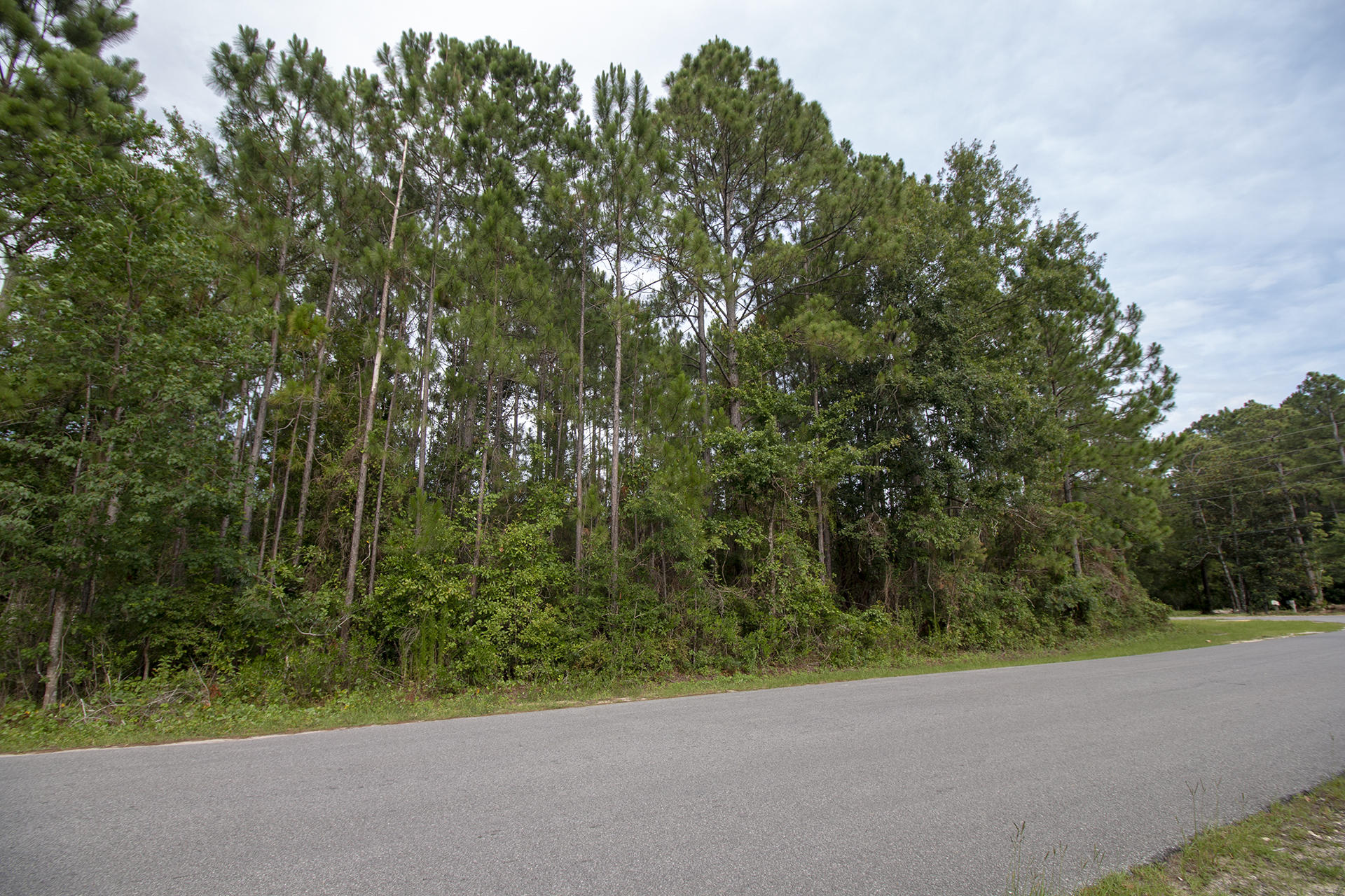 Lot 8 Chat Holley Road Santa Rosa Beach, FL 32459 - Photo 5 of 9 Gallery Image 5