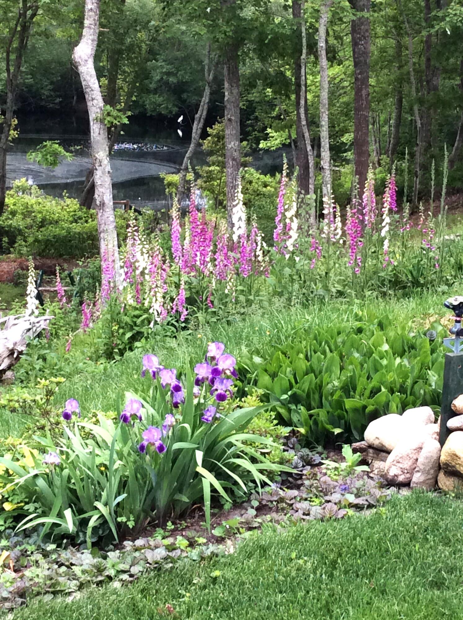 208 Rock Landing Road Mashpee, MA 02649 - Photo 28 of 32 a view of a potted flower in a yard