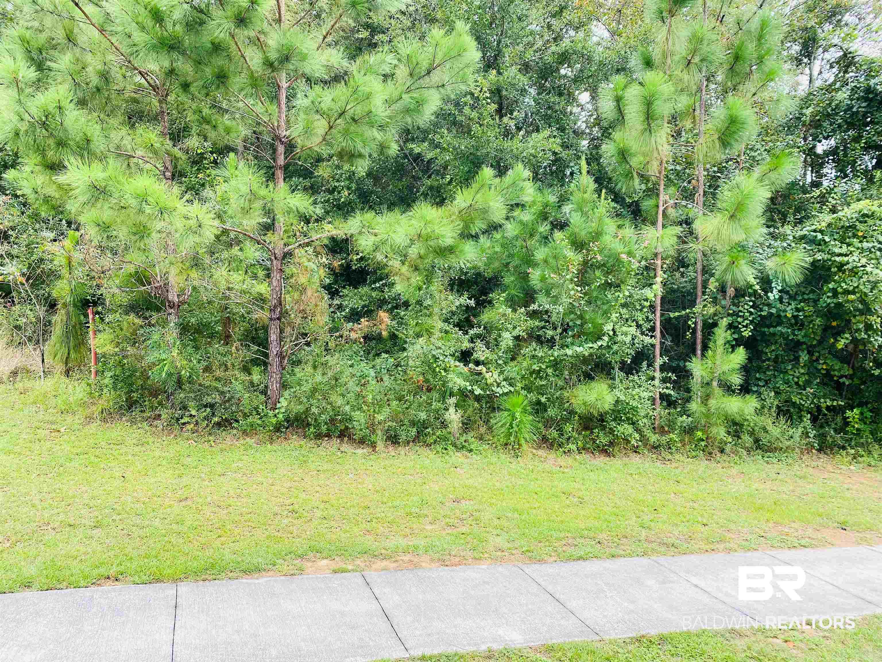 Lot 36 Atlanta Circle Daphne, AL 36527 - Photo 3 of 5