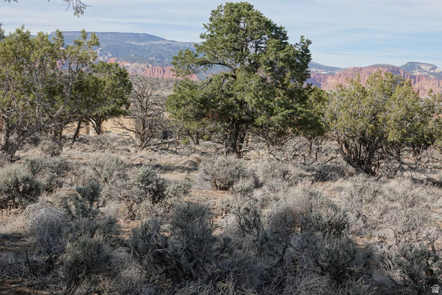 1115 East Donkey Flts Road Teasdale, UT 84773 - Photo 11 of 13