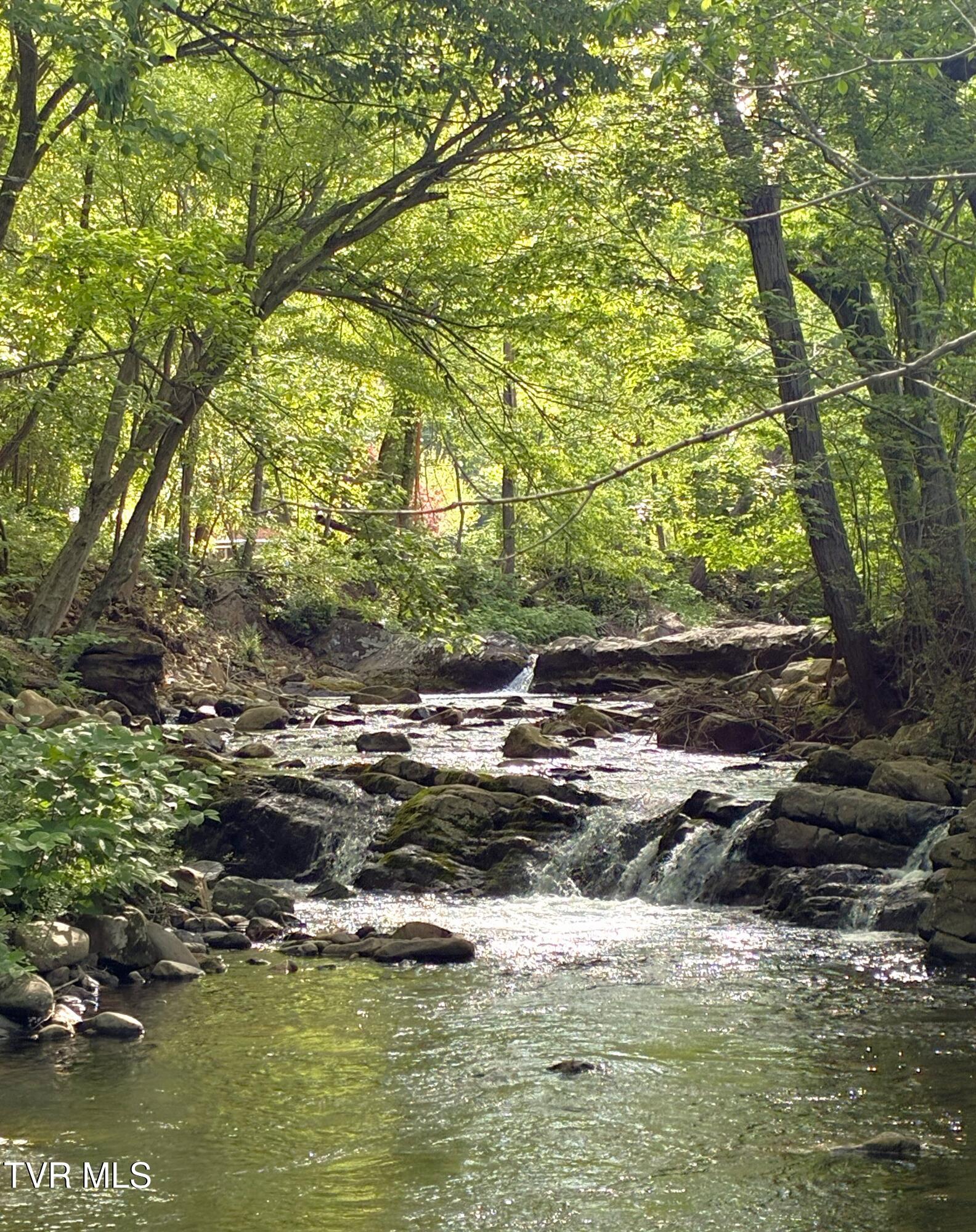 805 Rock Creek Road Erwin, TN 37650 - Photo 5 of 29 IMG_7838