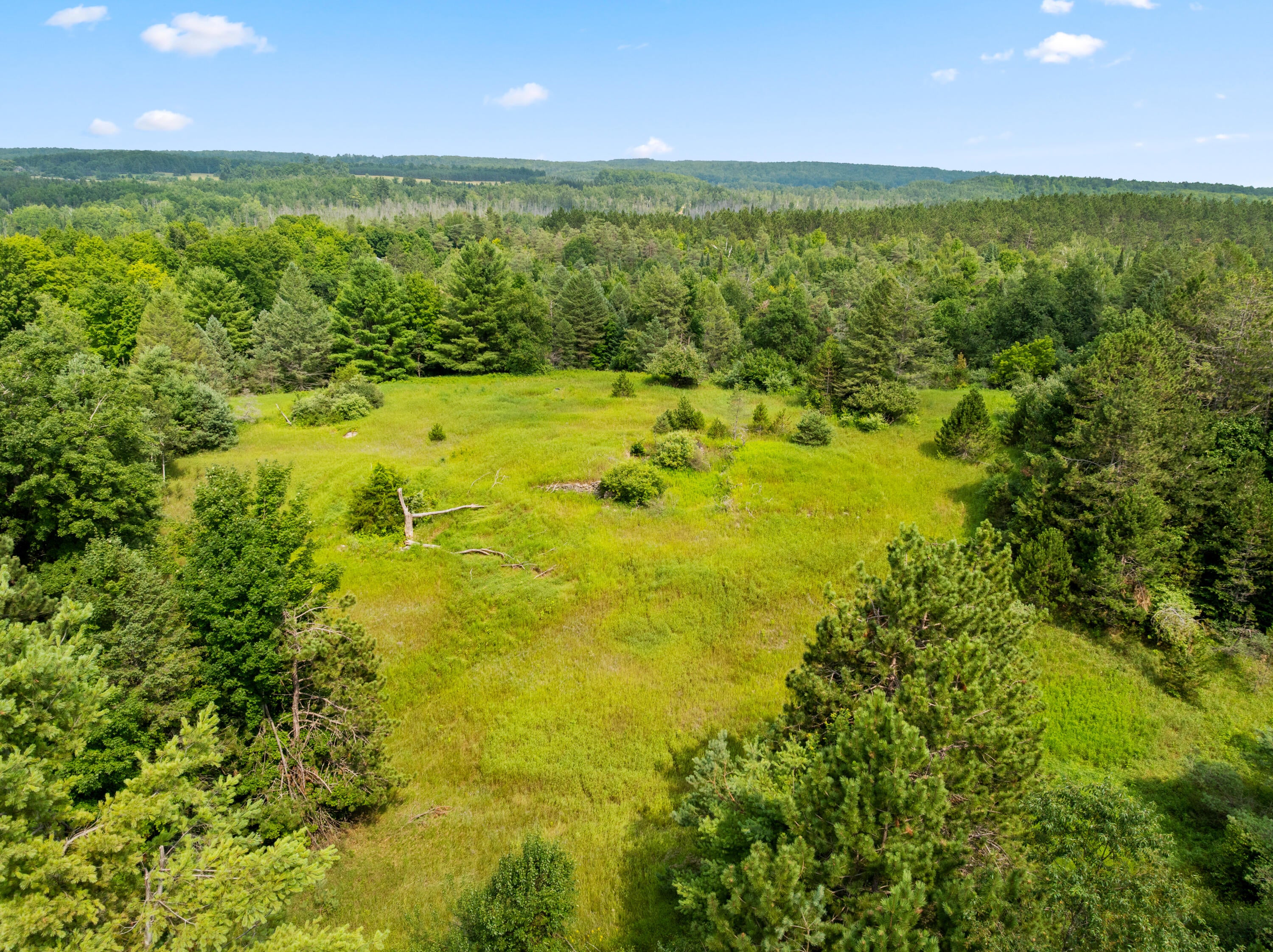 Ford Road Wolverine, MI 49799 - Photo 7 of 15 Gallery Image 7