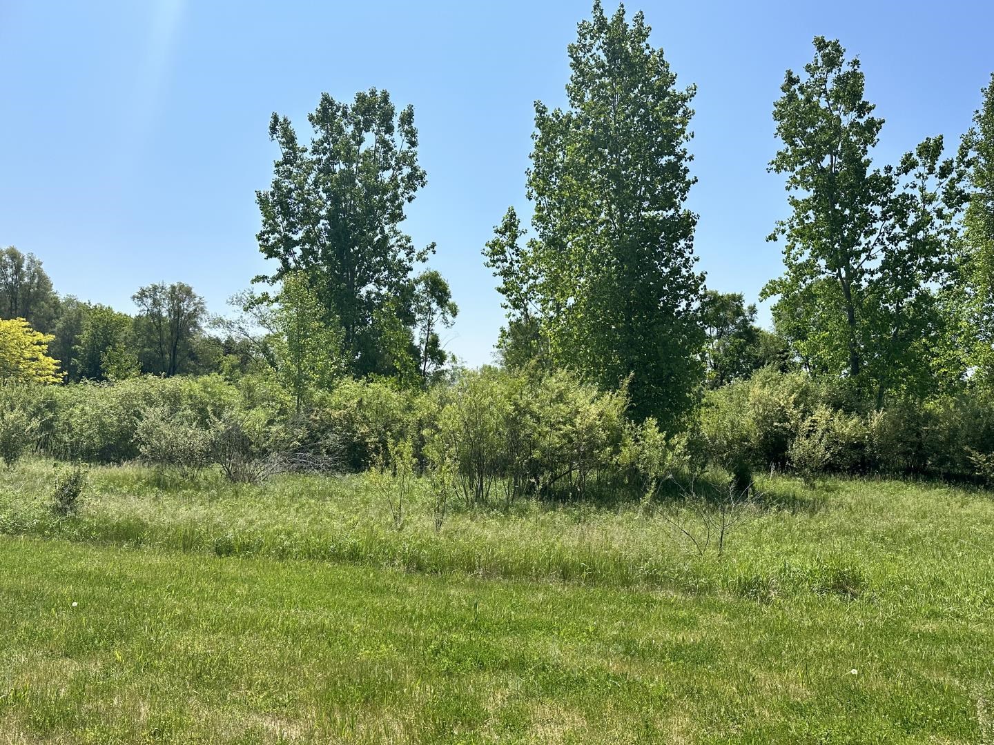 Tbd Tbd Kali, Unit 5 Alma, MI 48801 - Photo 8 of 21