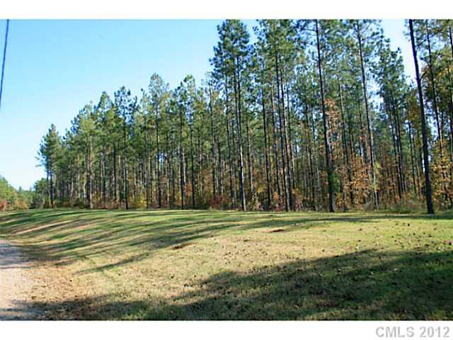 Lot 6 Parson Road, Unit 6A McConnells, SC 29726 - Photo 8 of 10 Gallery Image 8