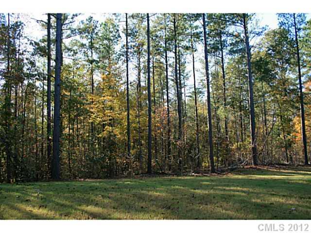 Lot 6 Parson Road, Unit 6A McConnells, SC 29726 - Photo 9 of 10 Gallery Image 9