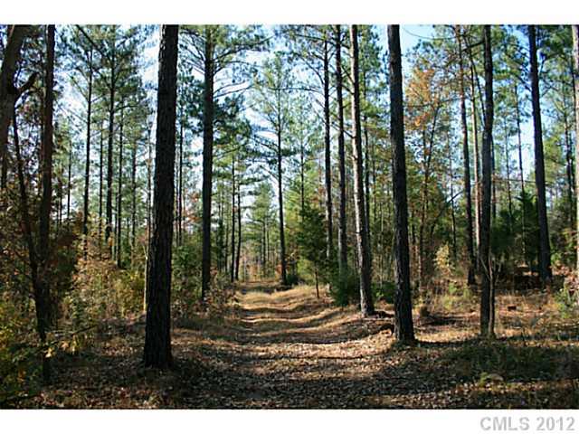 Lot 6 Parson Road, Unit 6A McConnells, SC 29726 - Photo 10 of 10 Gallery Image 10